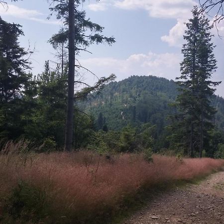 Bed and Breakfast Pod Klimczokiem I Szczyrk Zewnętrze zdjęcie