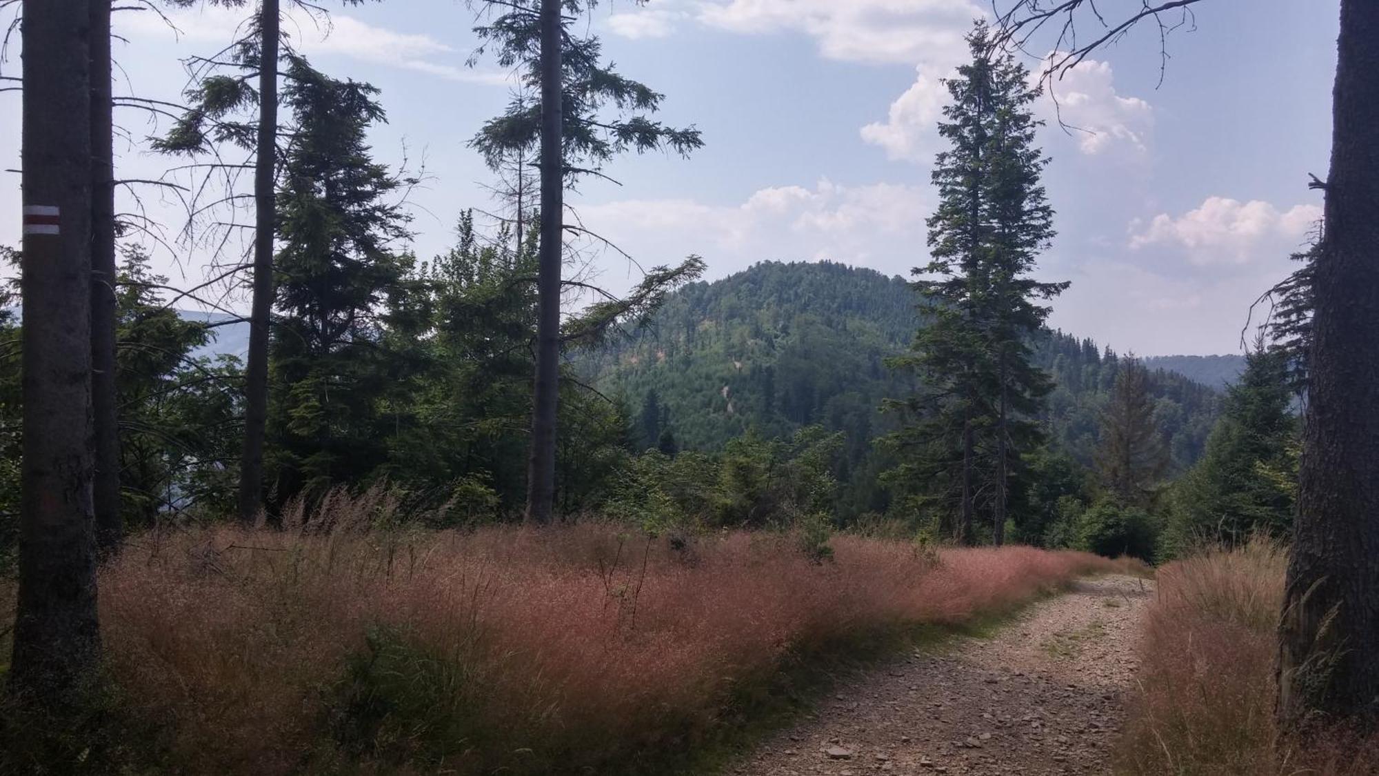 Bed and Breakfast Pod Klimczokiem I Szczyrk Zewnętrze zdjęcie