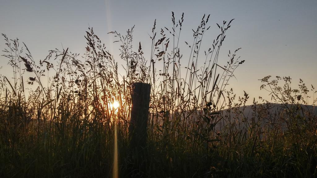 Bed and Breakfast Pod Klimczokiem I Szczyrk Zewnętrze zdjęcie