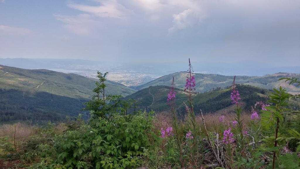 Bed and Breakfast Pod Klimczokiem I Szczyrk Zewnętrze zdjęcie