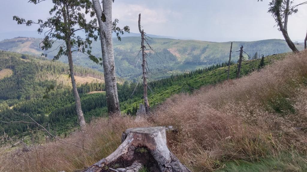 Bed and Breakfast Pod Klimczokiem I Szczyrk Zewnętrze zdjęcie