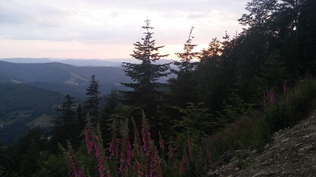 Bed and Breakfast Pod Klimczokiem I Szczyrk Zewnętrze zdjęcie